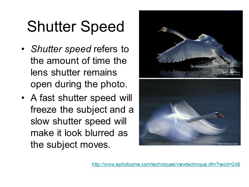 Shutter Speed Shutter speed refers to the amount of time the lens shutter remains open during the photo.