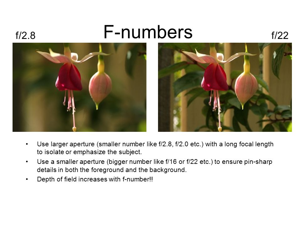 F-numbers Use larger aperture (smaller number like f/2.8, f/2.0 etc.) with a long focal length to isolate or emphasize the subject.