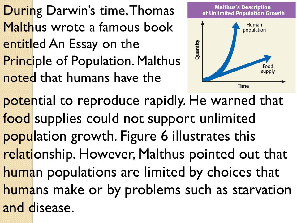 darwin essay population darwin essay population