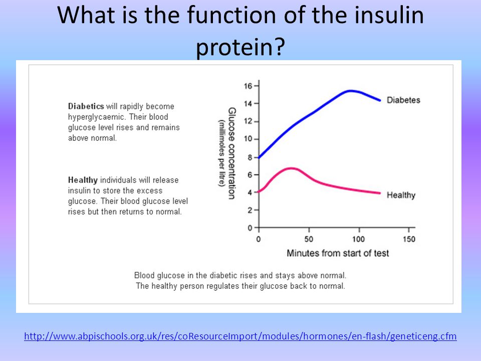 What is the function of the insulin protein.