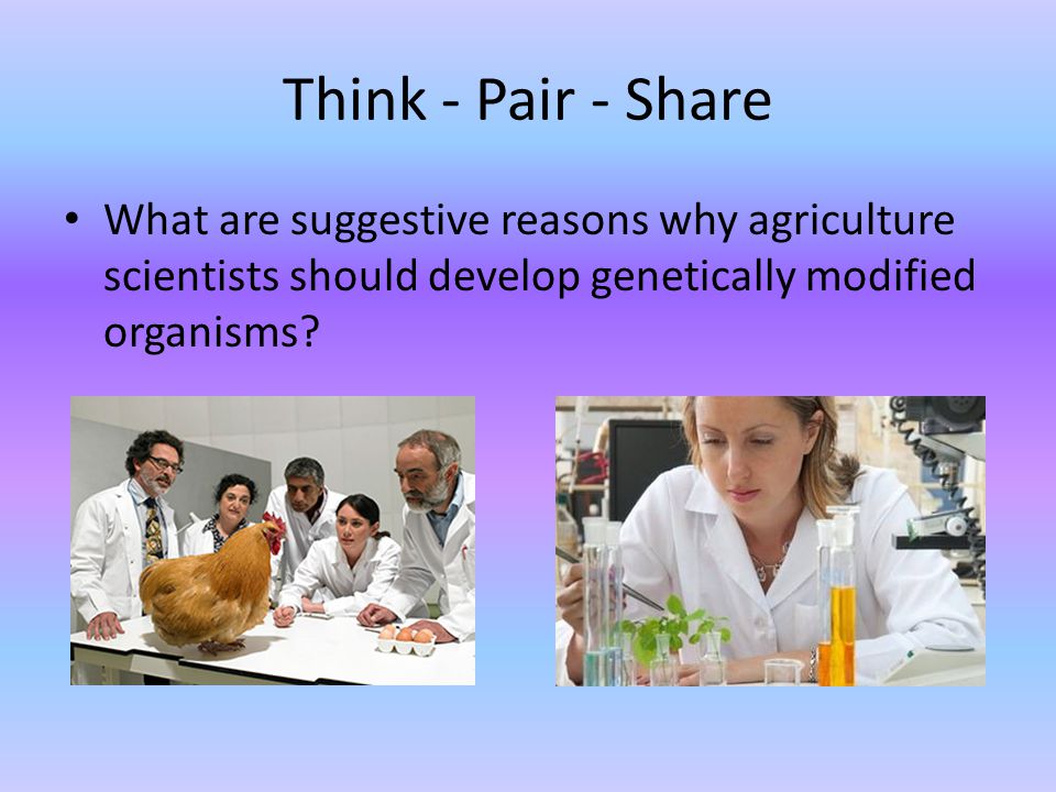 Think - Pair - Share What are suggestive reasons why agriculture scientists should develop genetically modified organisms