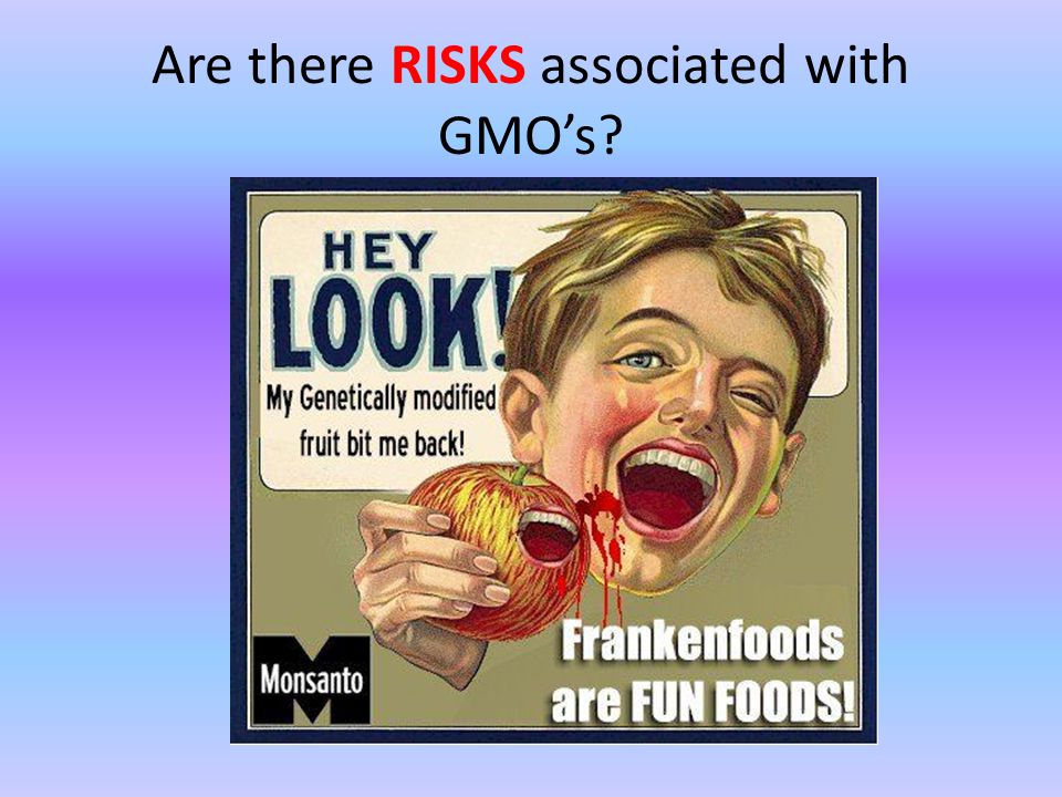 Are there RISKS associated with GMO’s
