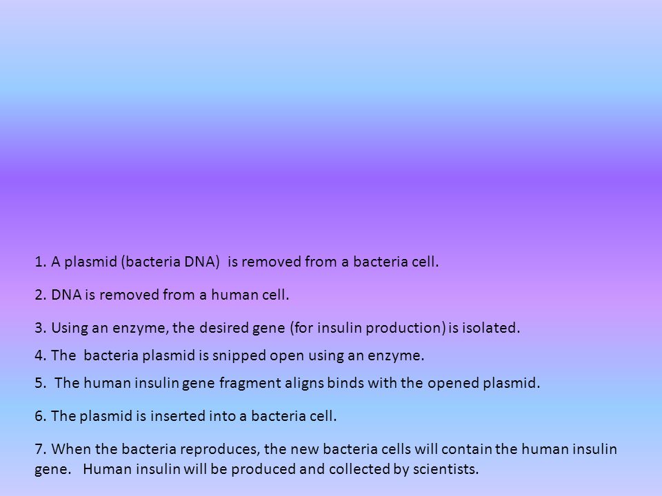1. A plasmid (bacteria DNA) is removed from a bacteria cell.