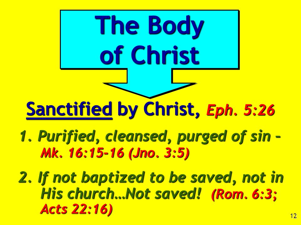 12 Sanctified by Christ, Eph. 5:26 1. Purified, cleansed, purged of sin – Mk.