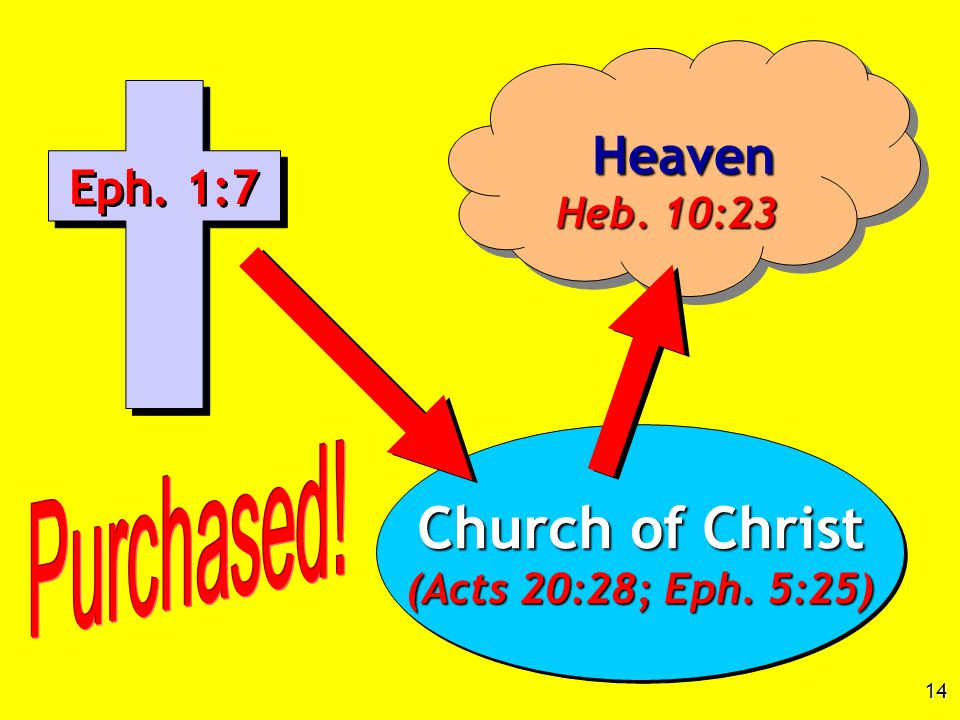 Church of Christ (Acts 20:28; Eph. 5:25) Church of Christ (Acts 20:28; Eph.