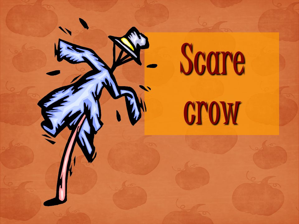 Scare crow