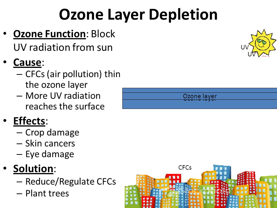 What is the function of the ozone layer?