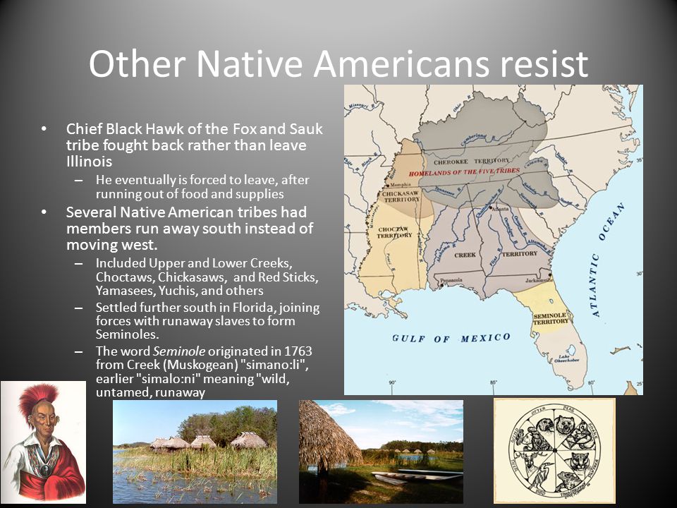 Other Native Americans resist Chief Black Hawk of the Fox and Sauk tribe fought back rather than leave Illinois – He eventually is forced to leave, after running out of food and supplies Several Native American tribes had members run away south instead of moving west.