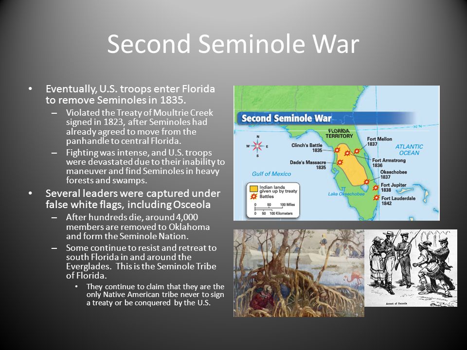 Second Seminole War Eventually, U.S. troops enter Florida to remove Seminoles in
