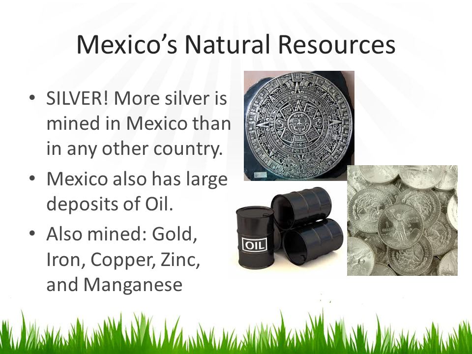 mexico natural resources