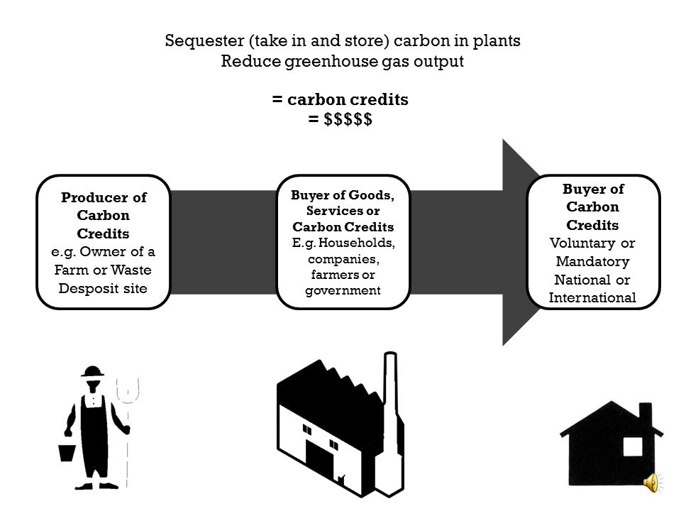 carbon trading