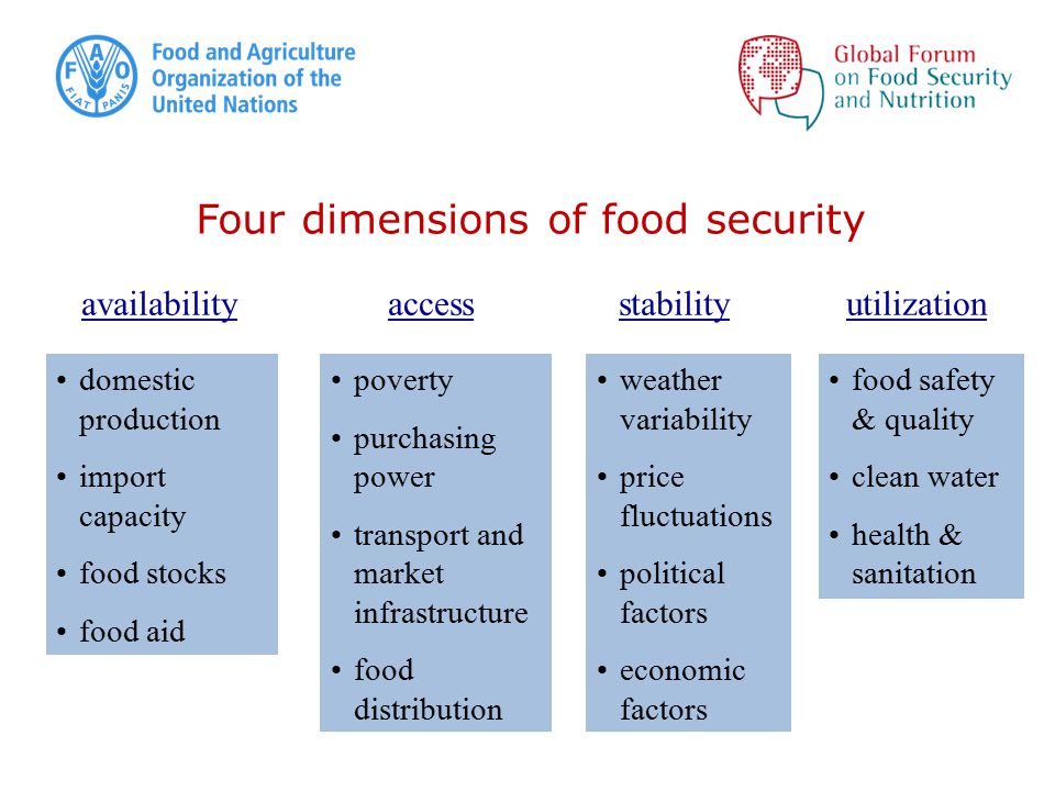 Four dimensions of food security availability access stability utilization domestic production import capacity food stocks food aid poverty purchasing power transport and market infrastructure food distribution weather variability price fluctuations political factors economic factors food safety & quality clean water health & sanitation