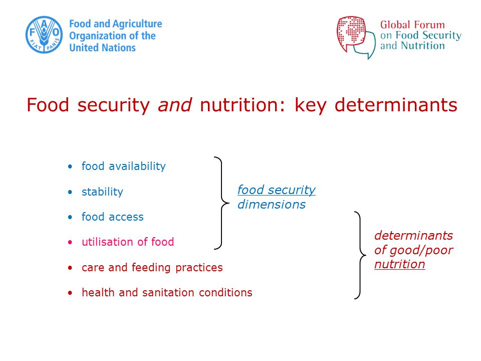 food availability stability food access utilisation of food care and feeding practices health and sanitation conditions Food security and nutrition: key determinants food security dimensions determinants of good/poor nutrition