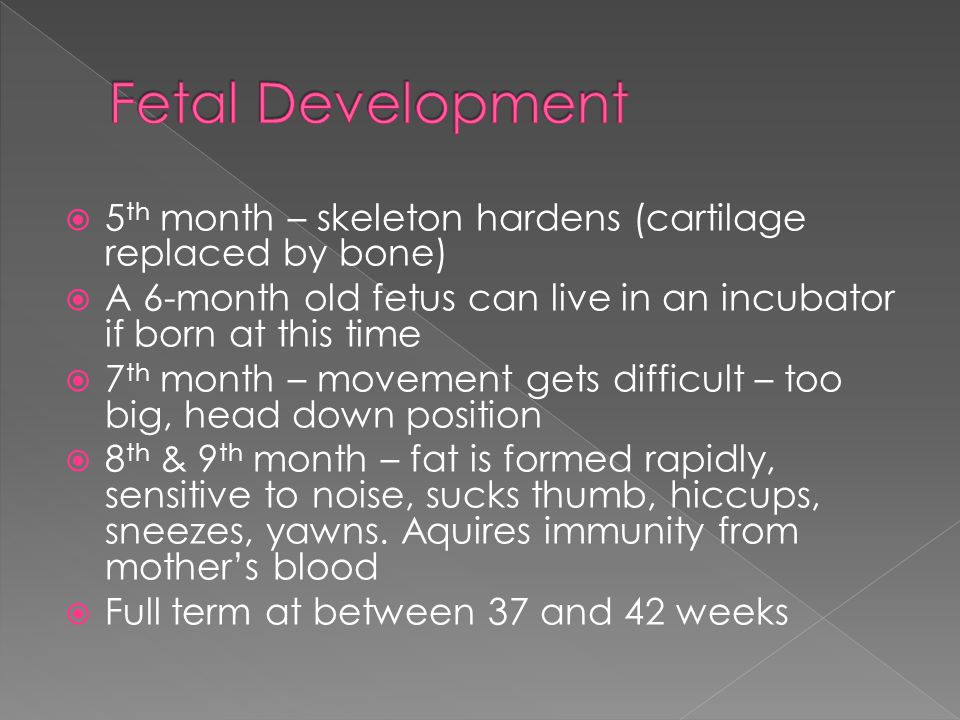 5 th month – skeleton hardens (cartilage replaced by bone)  A 6-month old fetus can live in an incubator if born at this time  7 th month – movement gets difficult – too big, head down position  8 th & 9 th month – fat is formed rapidly, sensitive to noise, sucks thumb, hiccups, sneezes, yawns.