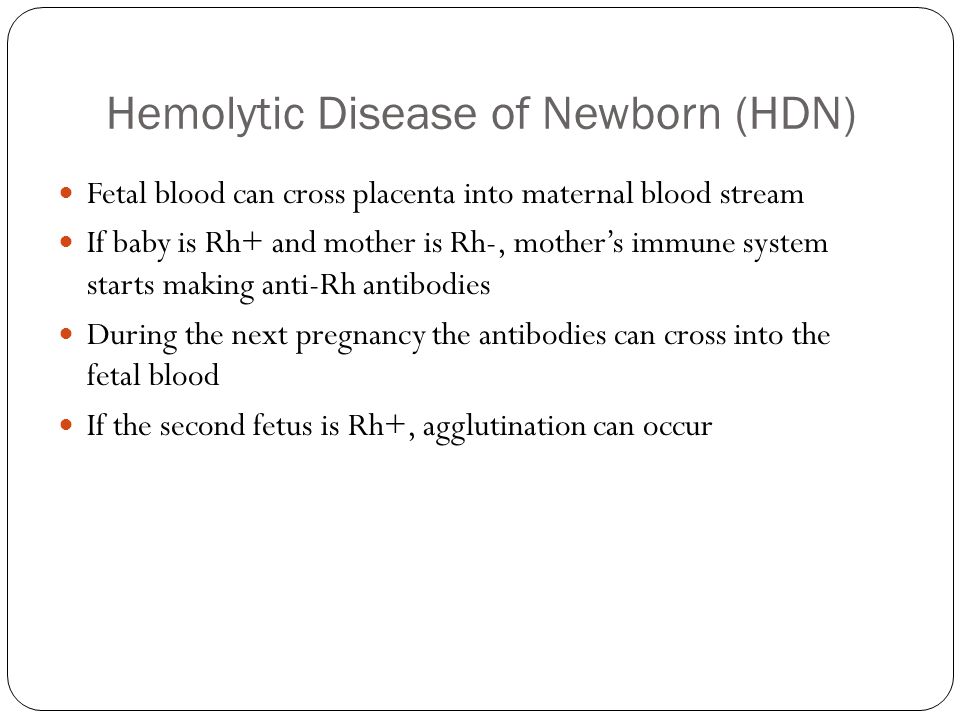Hemolytic Disease of Newborn (HDN) Fetal blood can cross placenta into maternal blood stream If baby is Rh+ and mother is Rh-, mother’s immune system starts making anti-Rh antibodies During the next pregnancy the antibodies can cross into the fetal blood If the second fetus is Rh+, agglutination can occur