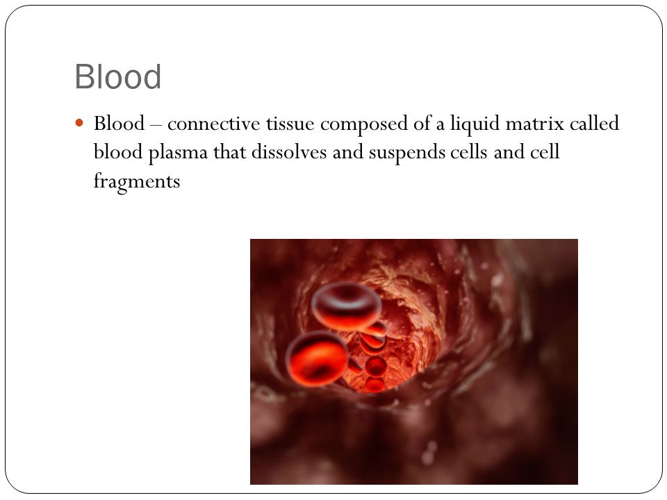 Blood Blood – connective tissue composed of a liquid matrix called blood plasma that dissolves and suspends cells and cell fragments