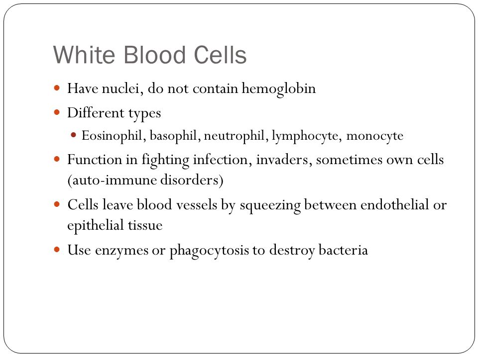 White Blood Cells Have nuclei, do not contain hemoglobin Different types Eosinophil, basophil, neutrophil, lymphocyte, monocyte Function in fighting infection, invaders, sometimes own cells (auto-immune disorders) Cells leave blood vessels by squeezing between endothelial or epithelial tissue Use enzymes or phagocytosis to destroy bacteria