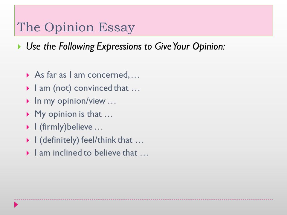 opinion essay