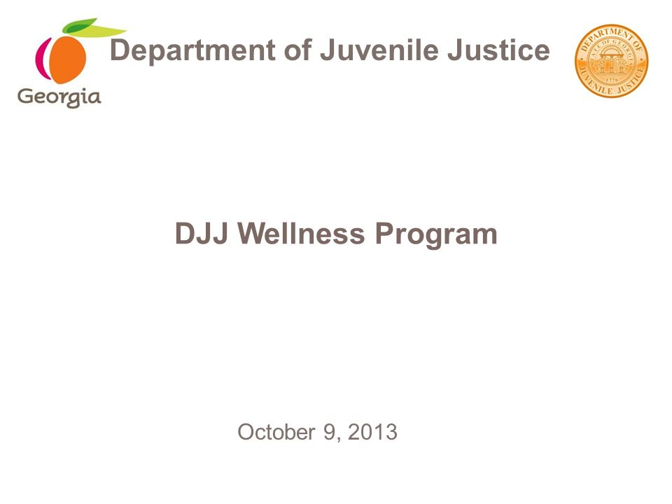 DJJ Wellness Program Department of Juvenile Justice October 9, 2013