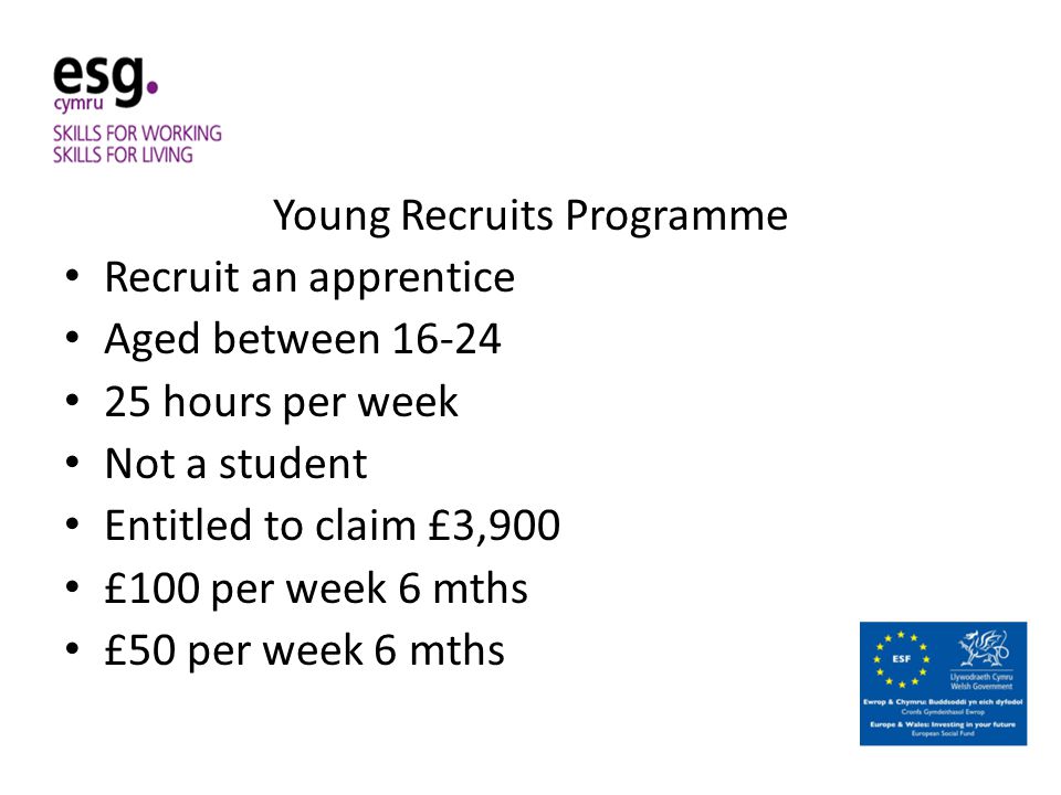 Young Recruits Programme Recruit an apprentice Aged between hours per week Not a student Entitled to claim £3,900 £100 per week 6 mths £50 per week 6 mths