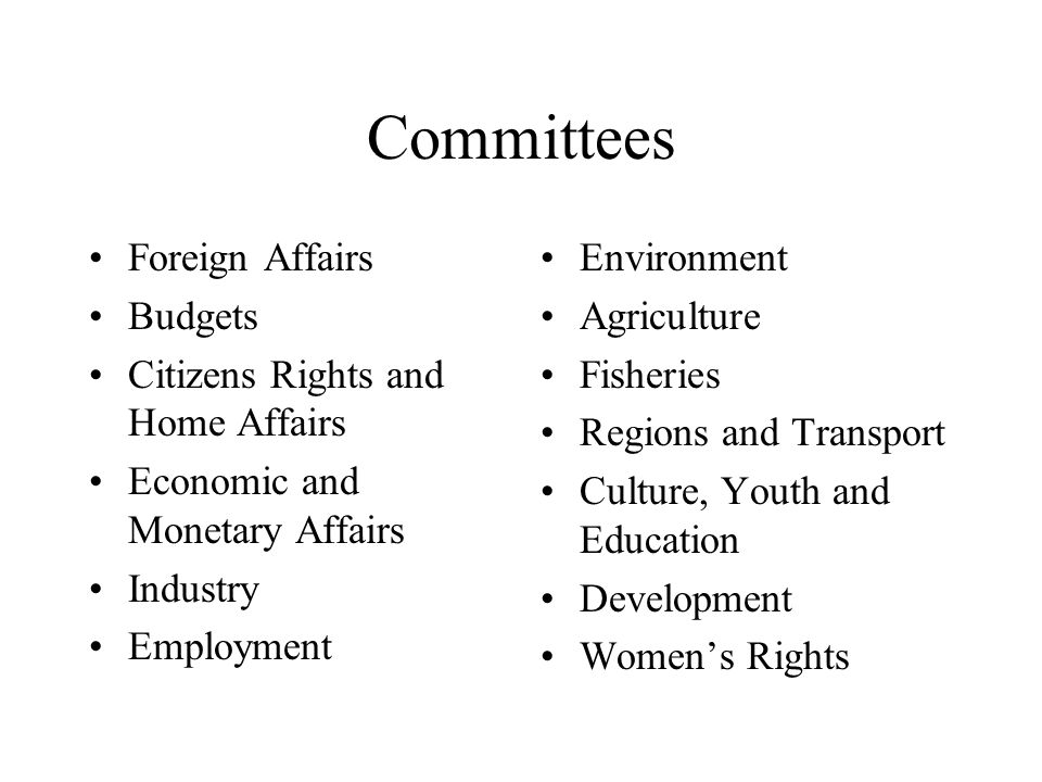Committees Foreign Affairs Budgets Citizens Rights and Home Affairs Economic and Monetary Affairs Industry Employment Environment Agriculture Fisheries Regions and Transport Culture, Youth and Education Development Women’s Rights