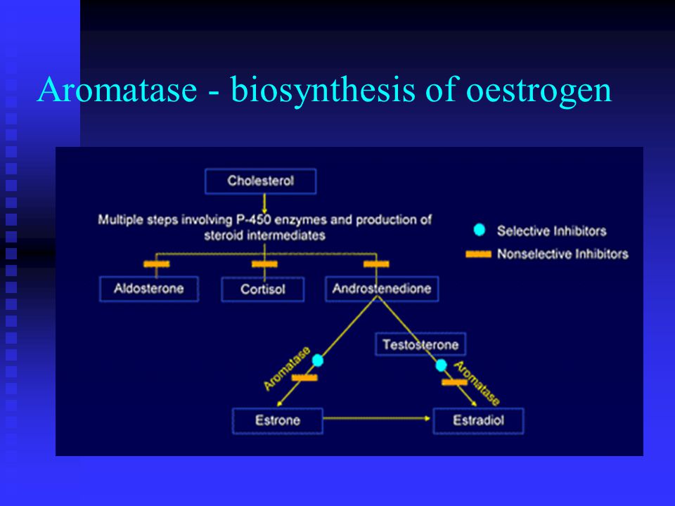Aromatase - biosynthesis of oestrogen