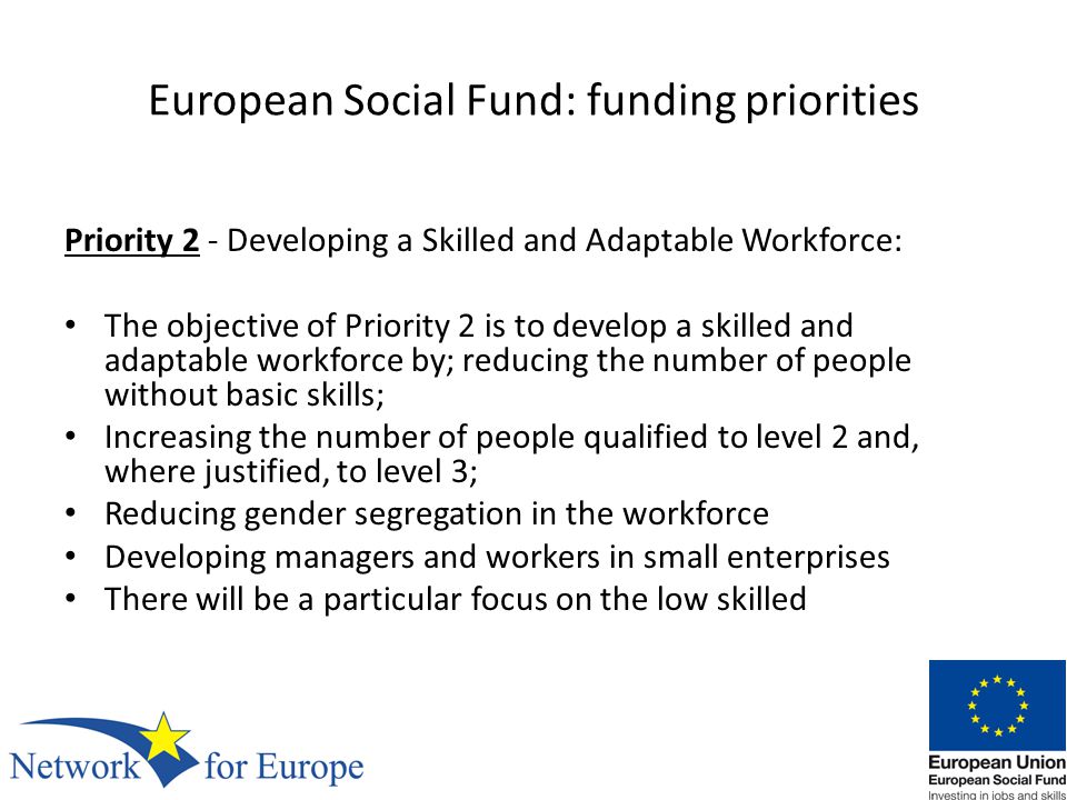 European Social Fund: funding priorities Priority 2 - Developing a Skilled and Adaptable Workforce: The objective of Priority 2 is to develop a skilled and adaptable workforce by; reducing the number of people without basic skills; Increasing the number of people qualified to level 2 and, where justified, to level 3; Reducing gender segregation in the workforce Developing managers and workers in small enterprises There will be a particular focus on the low skilled
