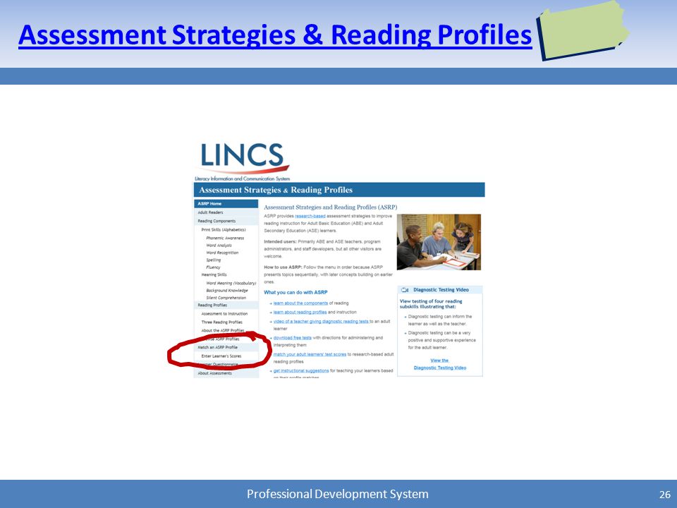 Professional Development System Assessment Strategies & Reading Profiles 26