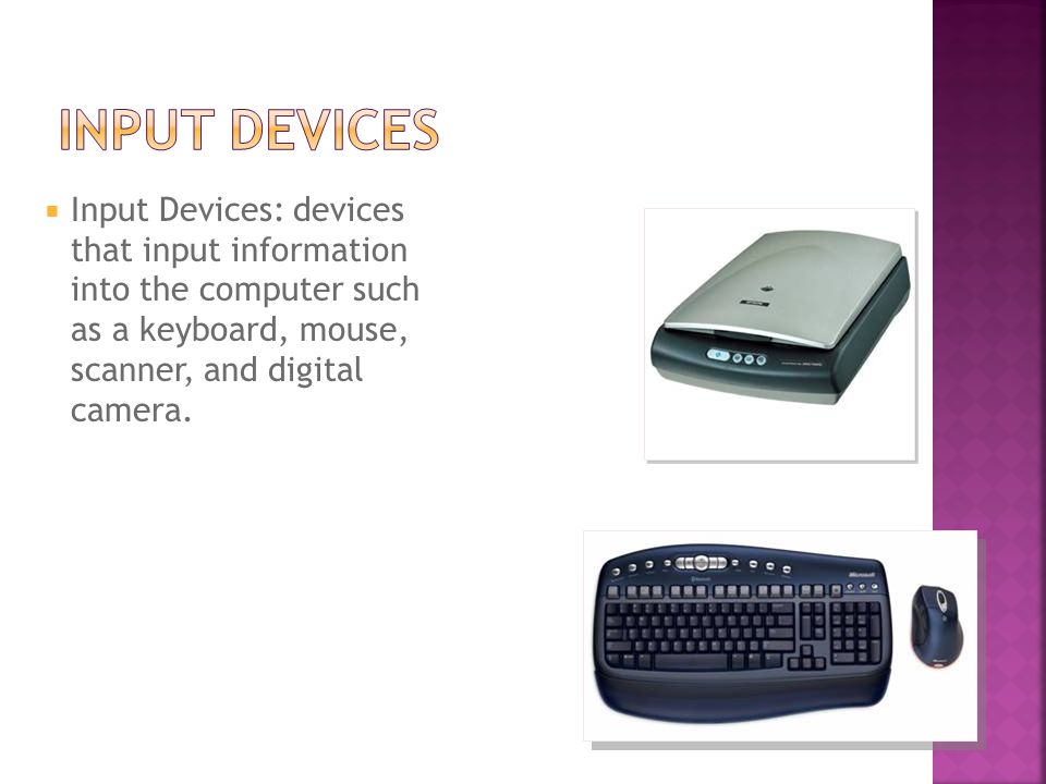  Input Devices: devices that input information into the computer such as a keyboard, mouse, scanner, and digital camera.