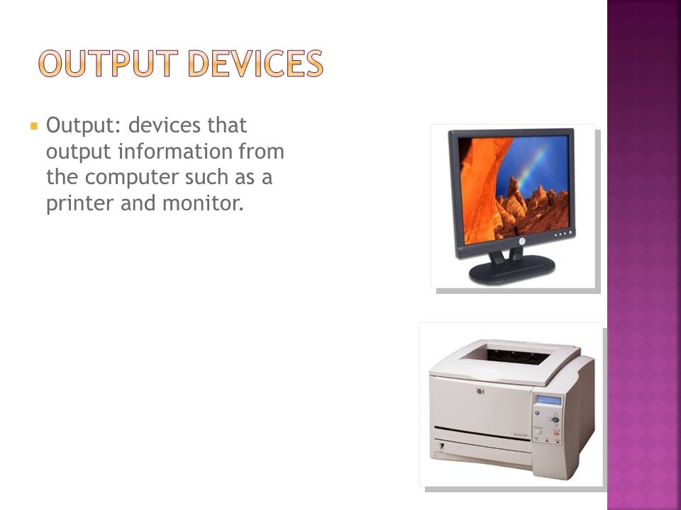  Output: devices that output information from the computer such as a printer and monitor.