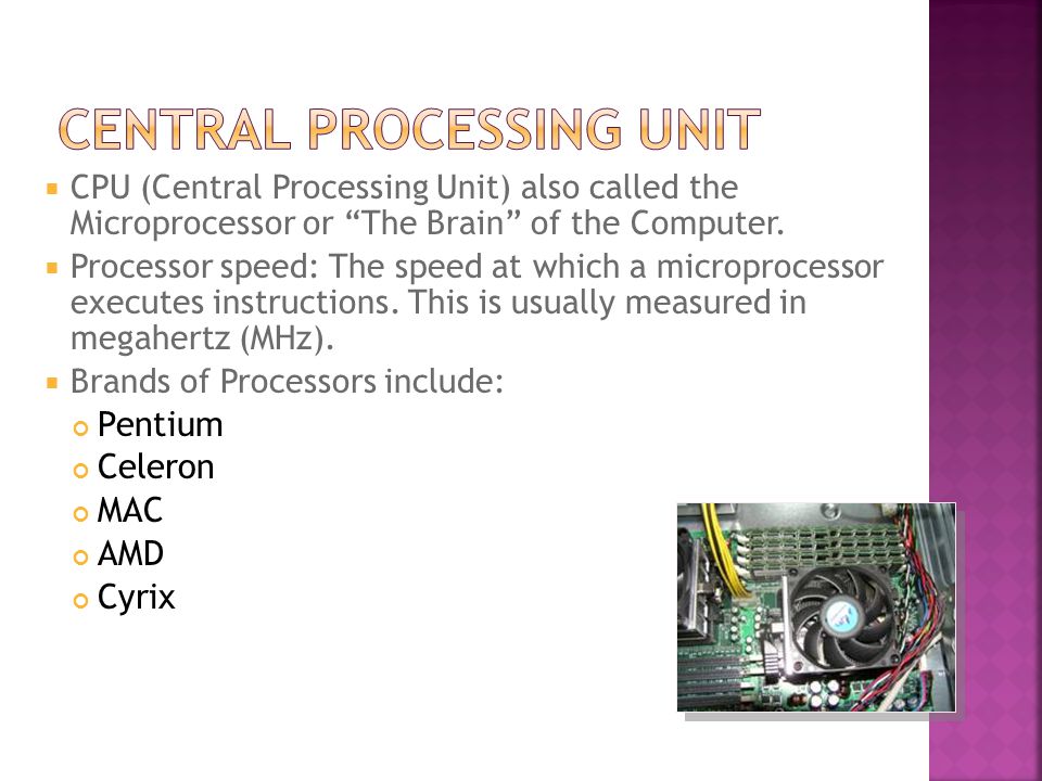  CPU (Central Processing Unit) also called the Microprocessor or The Brain of the Computer.