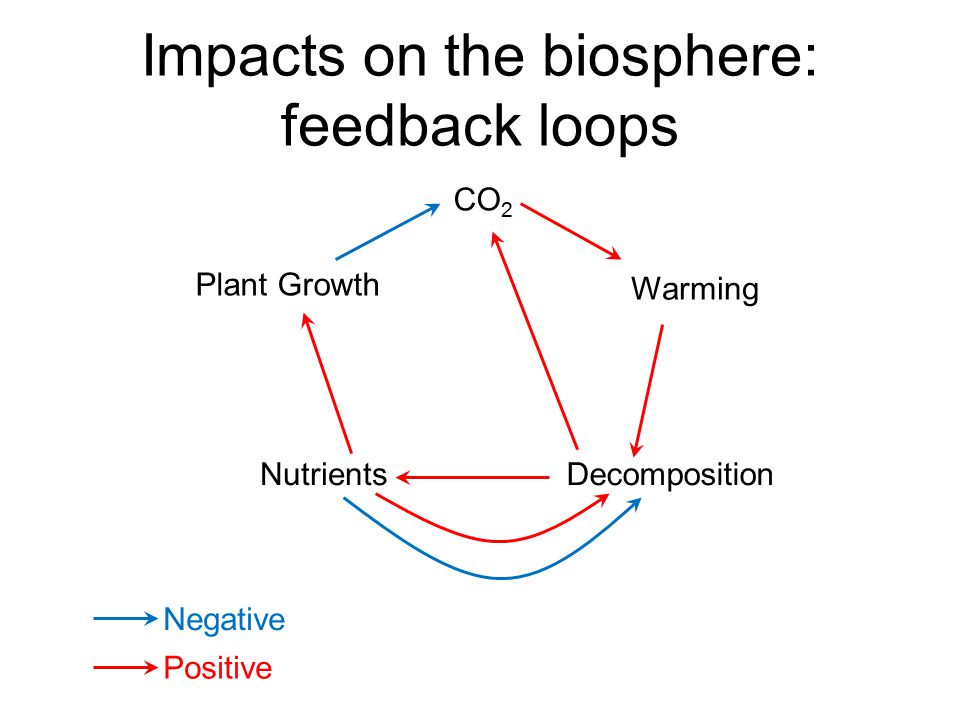 Impacts on the biosphere: feedback loops CO 2 Plant Growth Warming NutrientsDecomposition Negative Positive