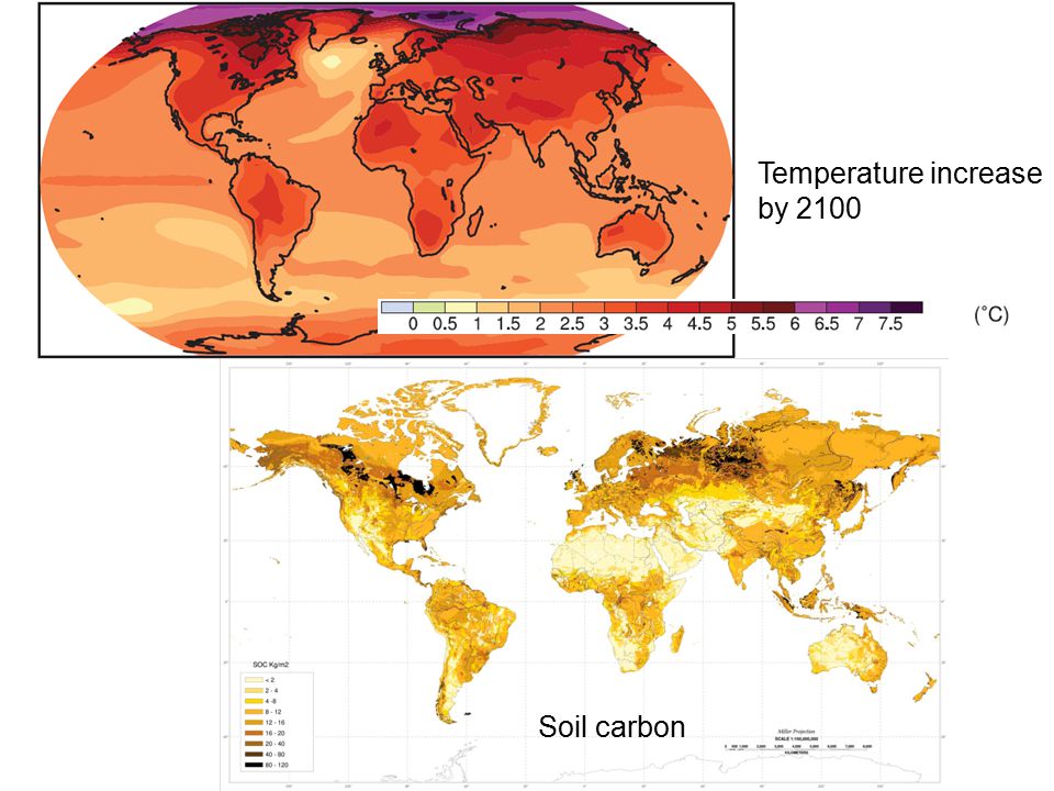Temperature increase by 2100 Soil carbon