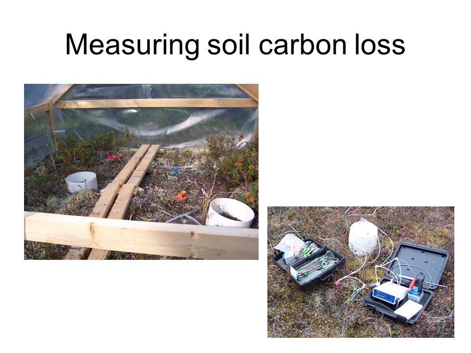 Measuring soil carbon loss