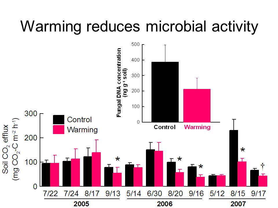 Warming reduces microbial activity