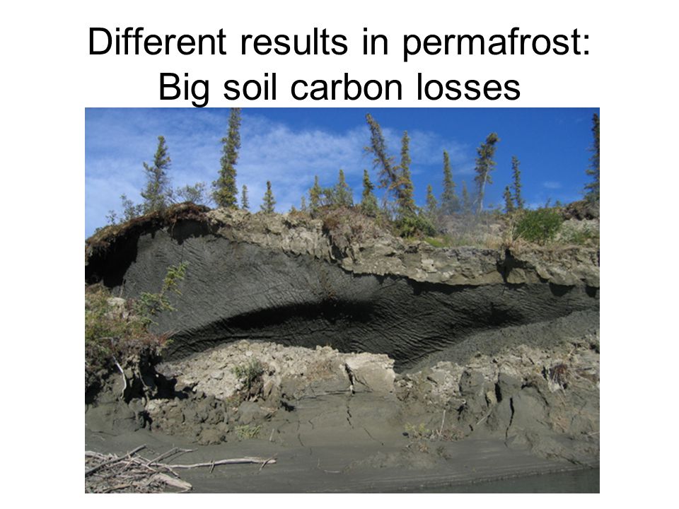 Different results in permafrost: Big soil carbon losses
