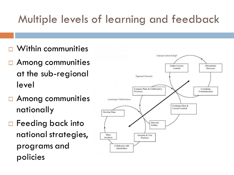 Multiple levels of learning and feedback  Within communities  Among communities at the sub-regional level  Among communities nationally  Feeding back into national strategies, programs and policies