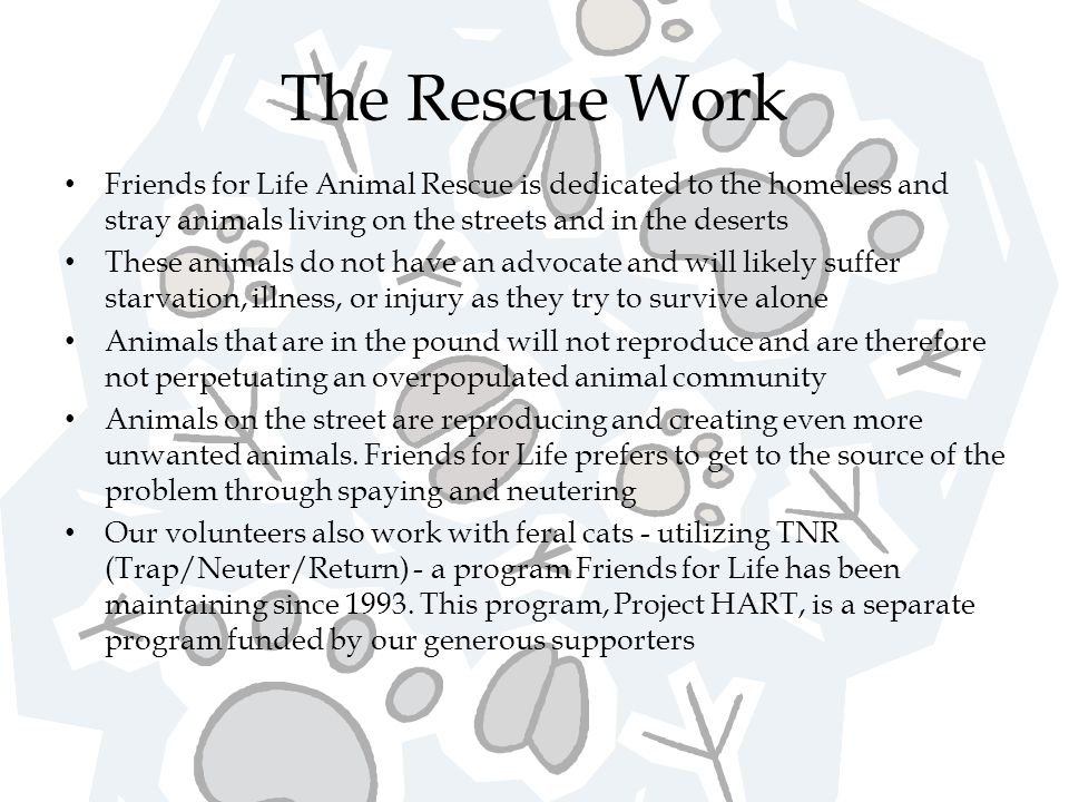 The Rescue Work Friends for Life Animal Rescue is dedicated to the homeless and stray animals living on the streets and in the deserts These animals do not have an advocate and will likely suffer starvation, illness, or injury as they try to survive alone Animals that are in the pound will not reproduce and are therefore not perpetuating an overpopulated animal community Animals on the street are reproducing and creating even more unwanted animals.