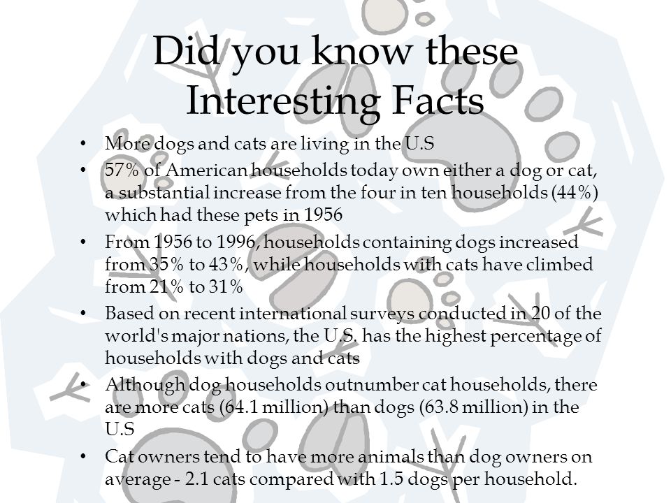 Did you know these Interesting Facts More dogs and cats are living in the U.S 57% of American households today own either a dog or cat, a substantial increase from the four in ten households (44%) which had these pets in 1956 From 1956 to 1996, households containing dogs increased from 35% to 43%, while households with cats have climbed from 21% to 31% Based on recent international surveys conducted in 20 of the world s major nations, the U.S.