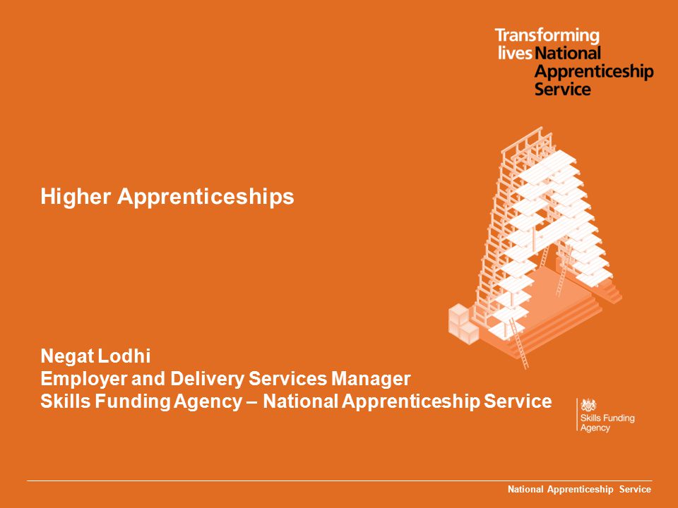 National Apprenticeship Service Higher Apprenticeships Negat Lodhi Employer and Delivery Services Manager Skills Funding Agency – National Apprenticeship Service
