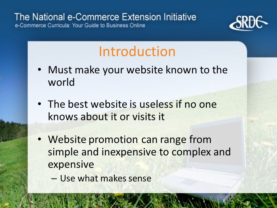 Introduction Must make your website known to the world The best website is useless if no one knows about it or visits it Website promotion can range from simple and inexpensive to complex and expensive – Use what makes sense