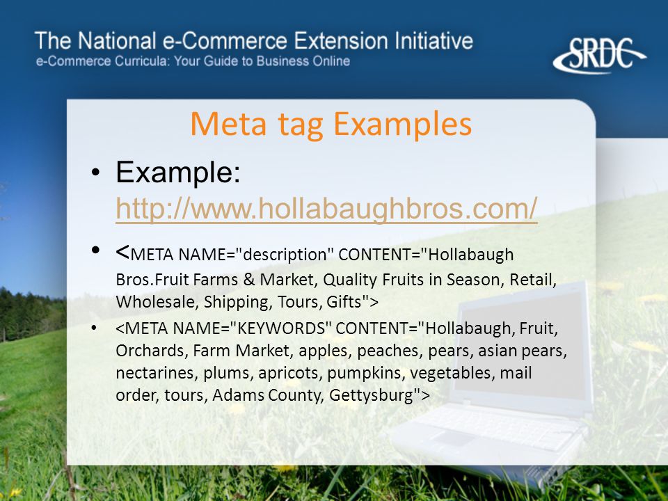 Meta tag Examples Example: