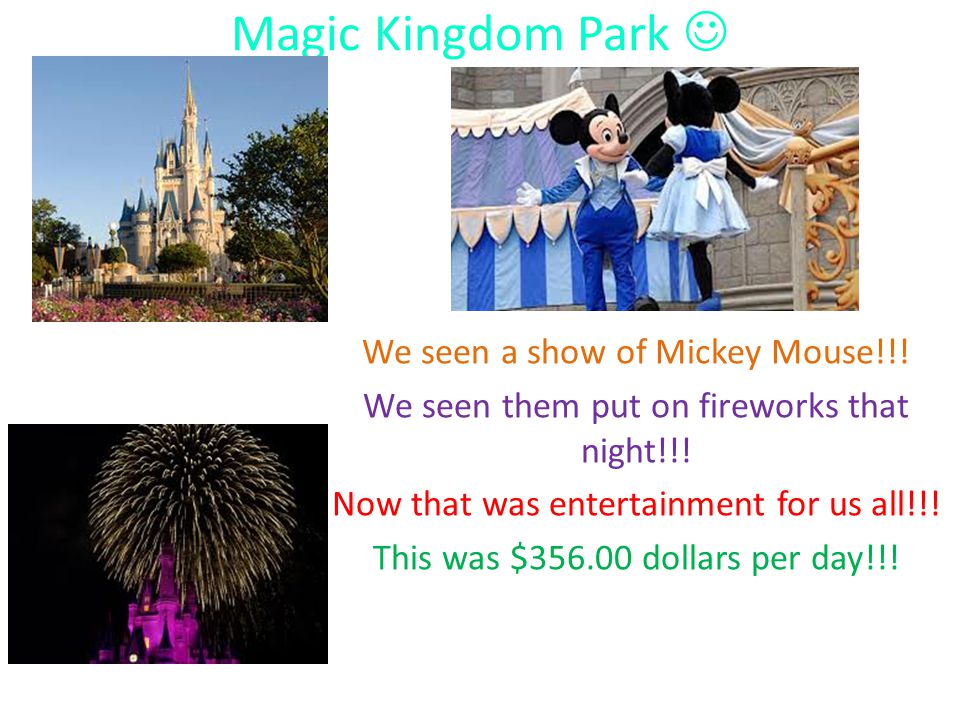 Magic Kingdom Park We seen a show of Mickey Mouse!!.