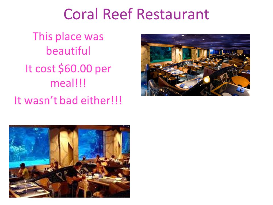 Coral Reef Restaurant This place was beautiful It cost $60.00 per meal!!! It wasn’t bad either!!!