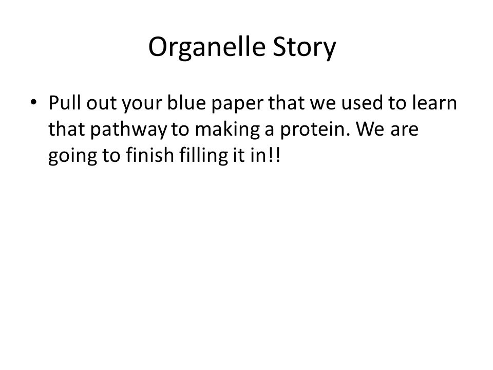 Organelle Story Pull out your blue paper that we used to learn that pathway to making a protein.