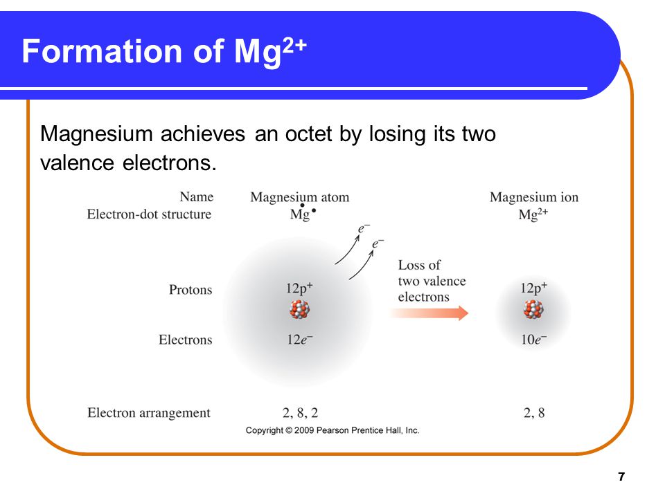 7 Formation of Mg 2+ Magnesium achieves an octet by losing its two valence electrons.