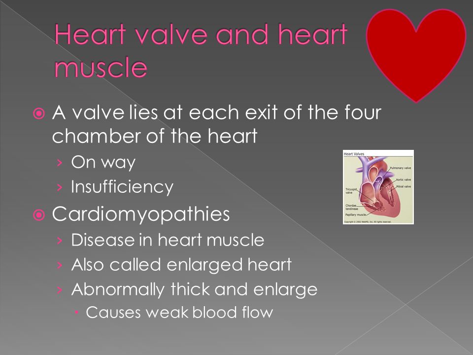  A valve lies at each exit of the four chamber of the heart › On way › Insufficiency  Cardiomyopathies › Disease in heart muscle › Also called enlarged heart › Abnormally thick and enlarge  Causes weak blood flow