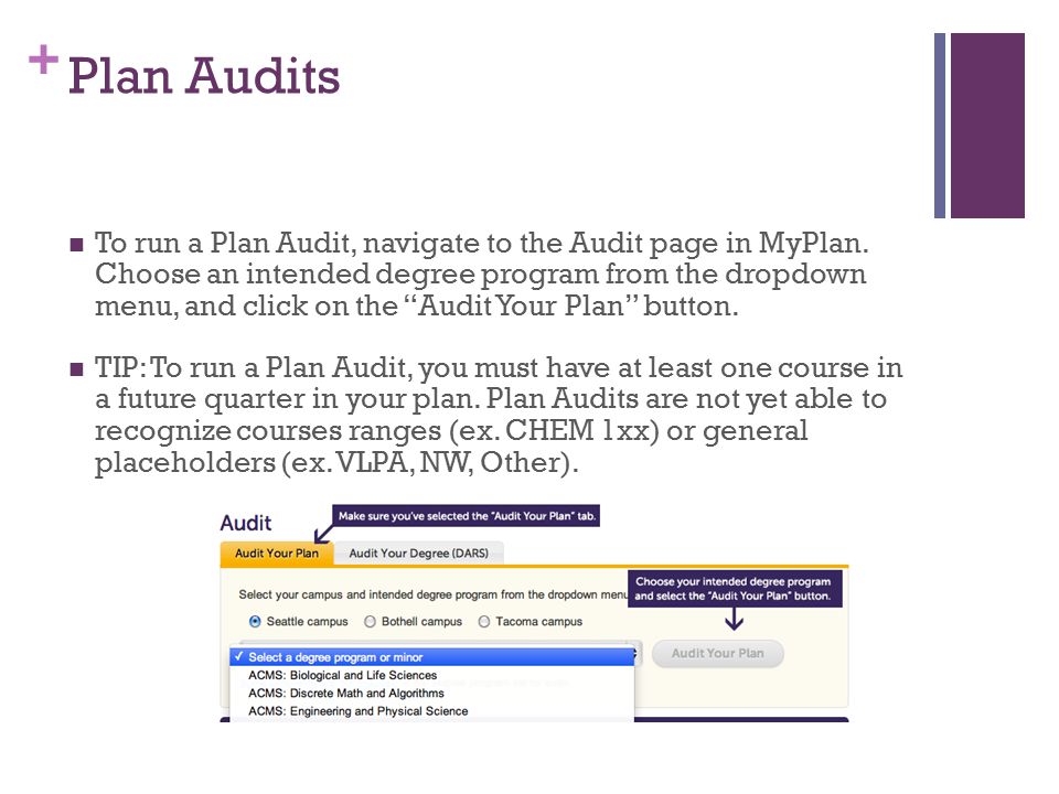 + Plan Audits To run a Plan Audit, navigate to the Audit page in MyPlan.