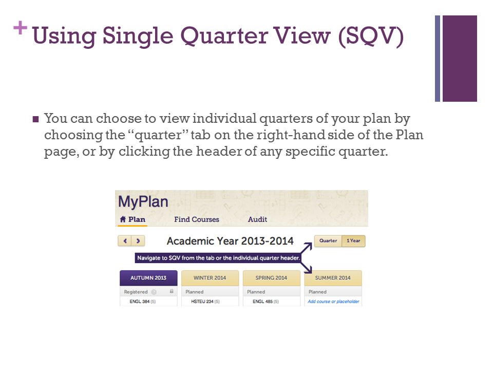+ Using Single Quarter View (SQV) You can choose to view individual quarters of your plan by choosing the quarter tab on the right-hand side of the Plan page, or by clicking the header of any specific quarter.