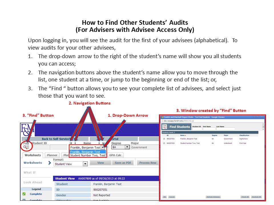 Upon logging in, you will see the audit for the first of your advisees (alphabetical).